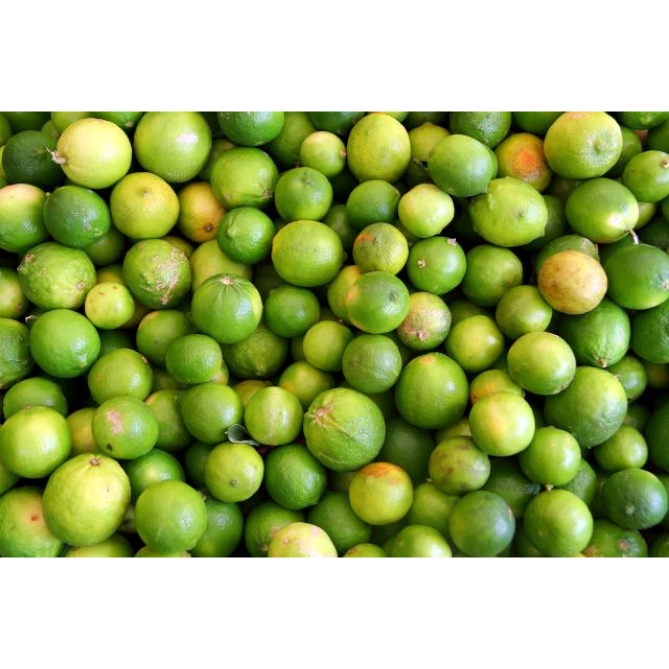 Akustikbild Limetten