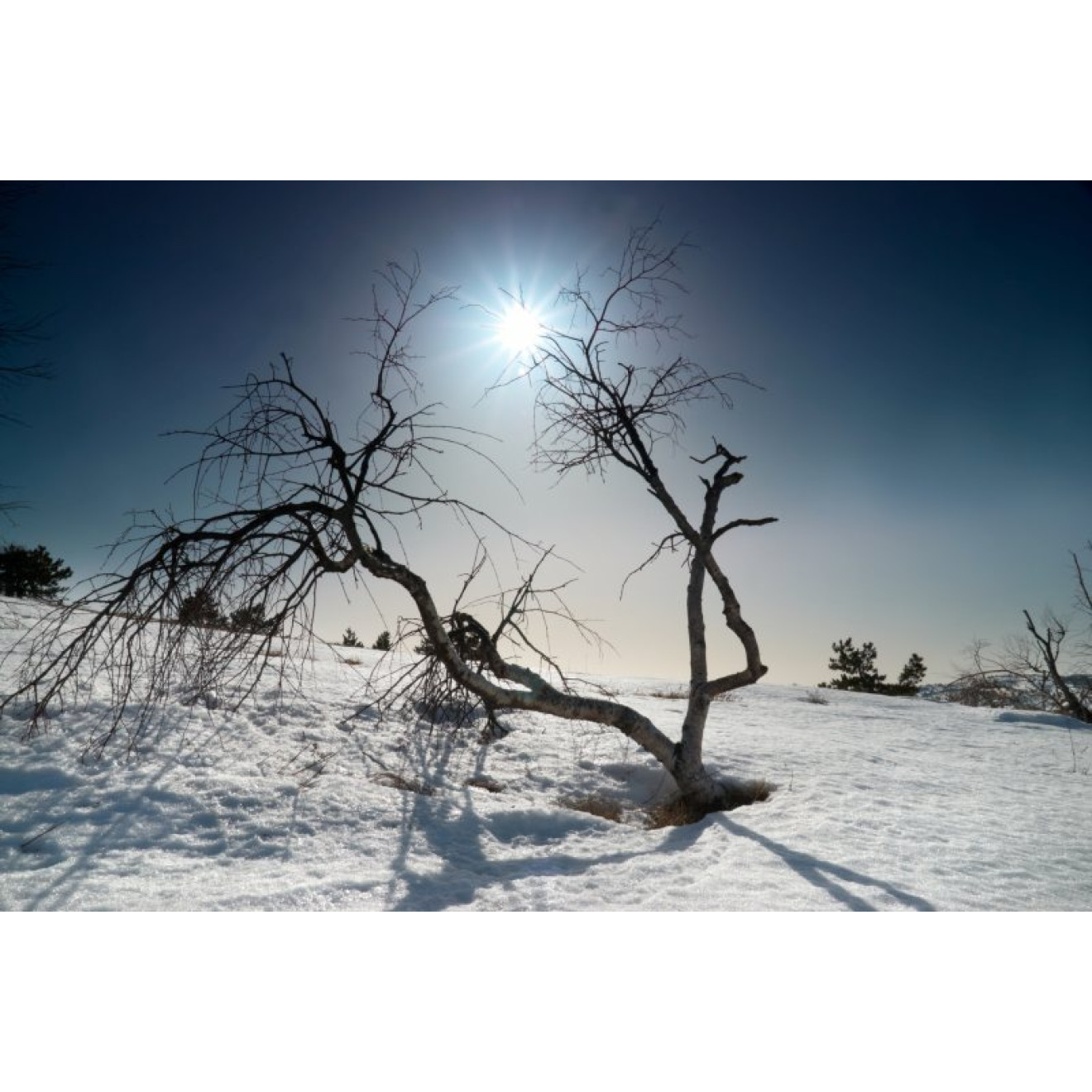 Akustikbild Eiszeit