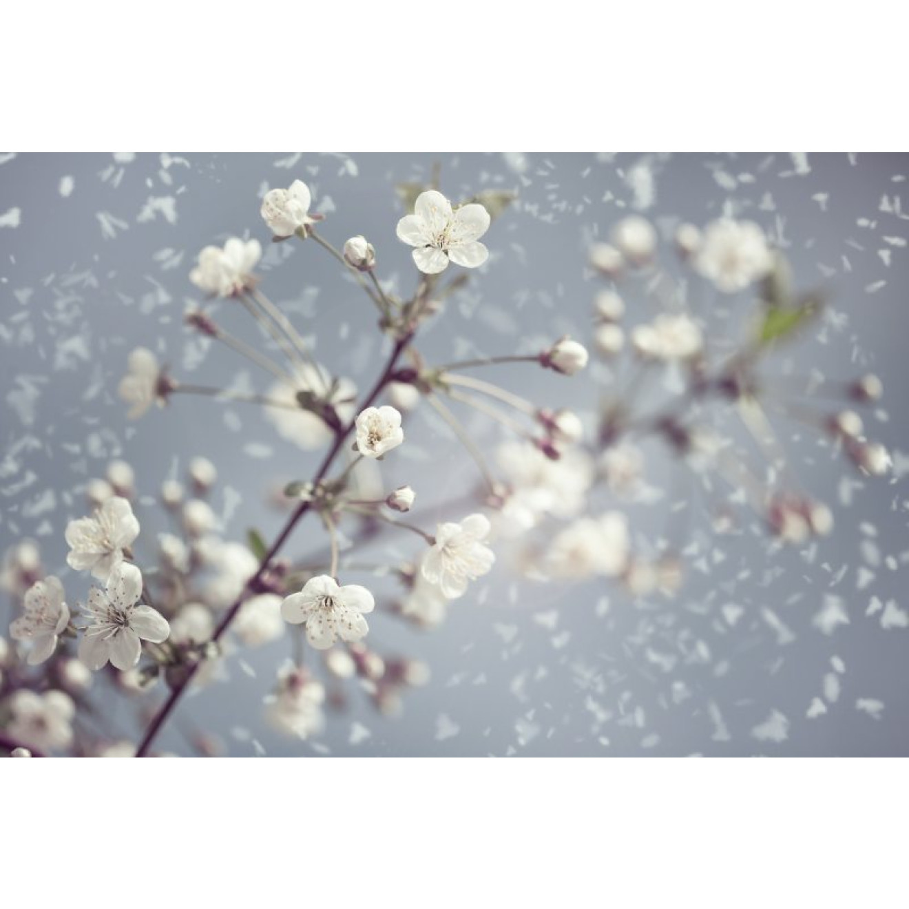Akustikbild Frühling