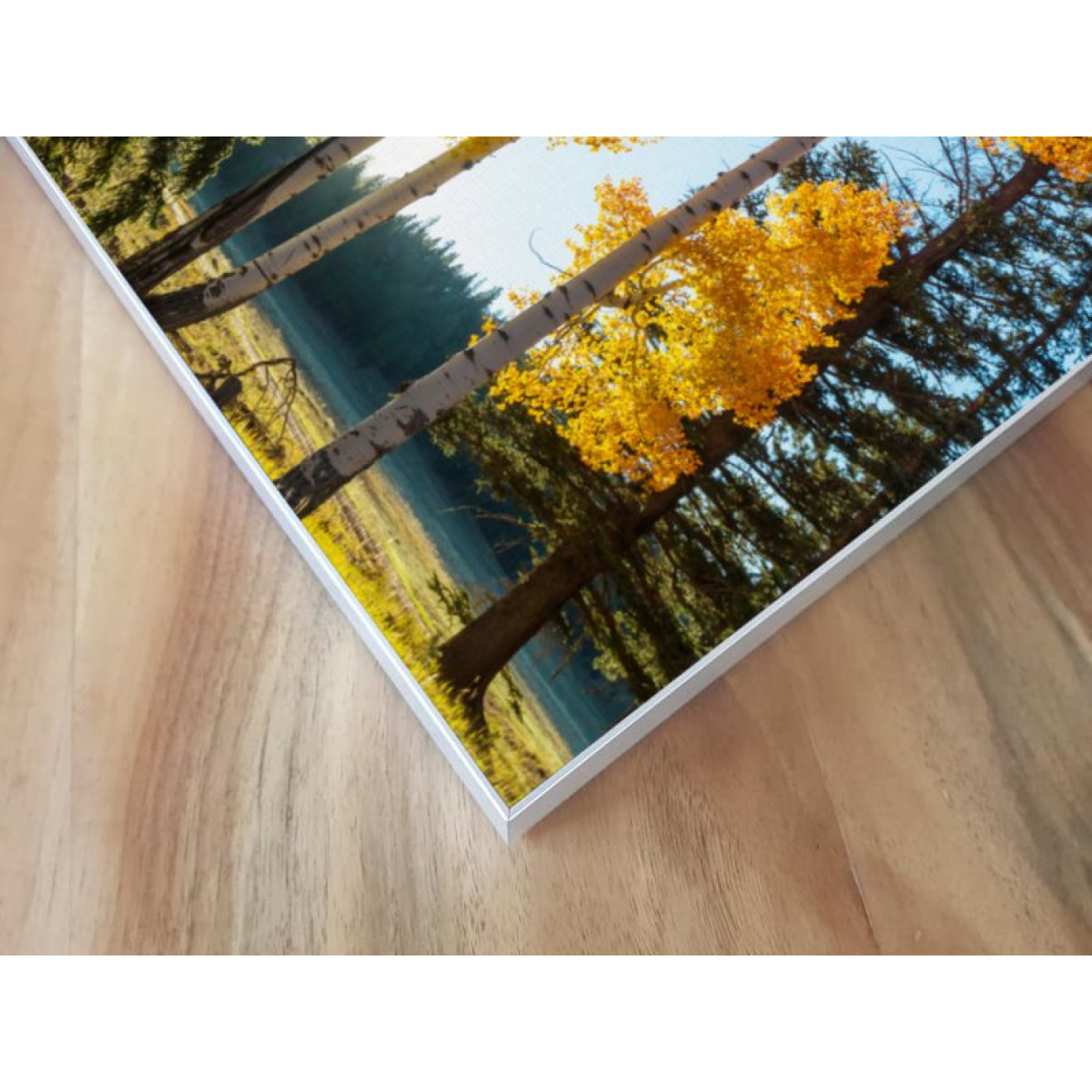 Akustikbild Bäume im Herbst