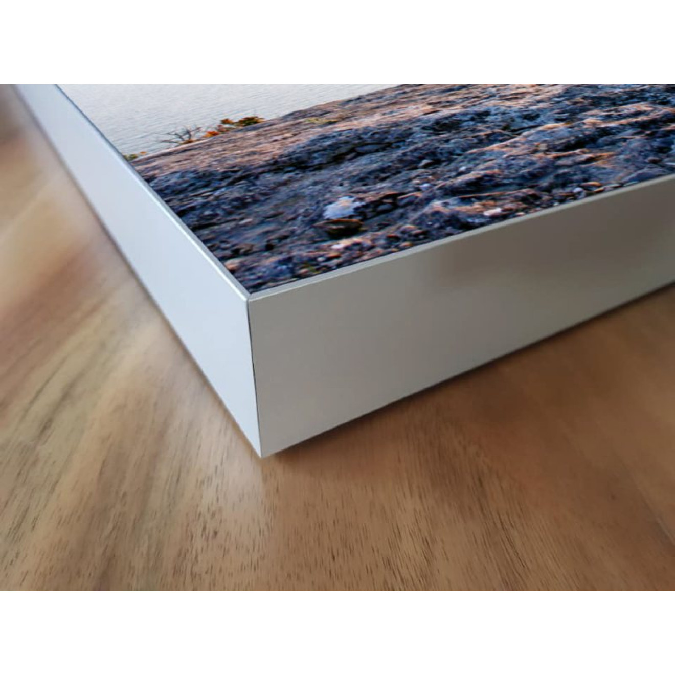 Akustikbild Baum am Meer