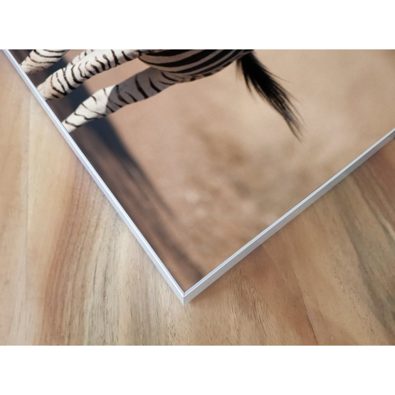 Akustikbild Zebra