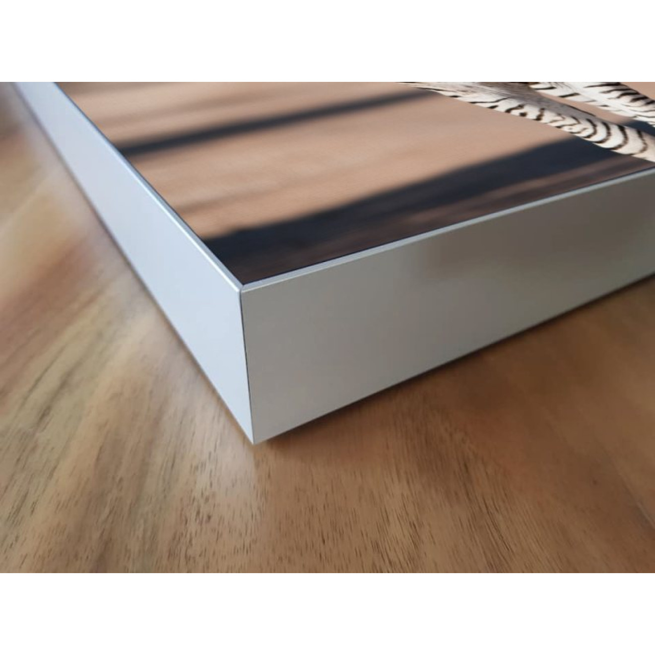 Akustikbild Zebra
