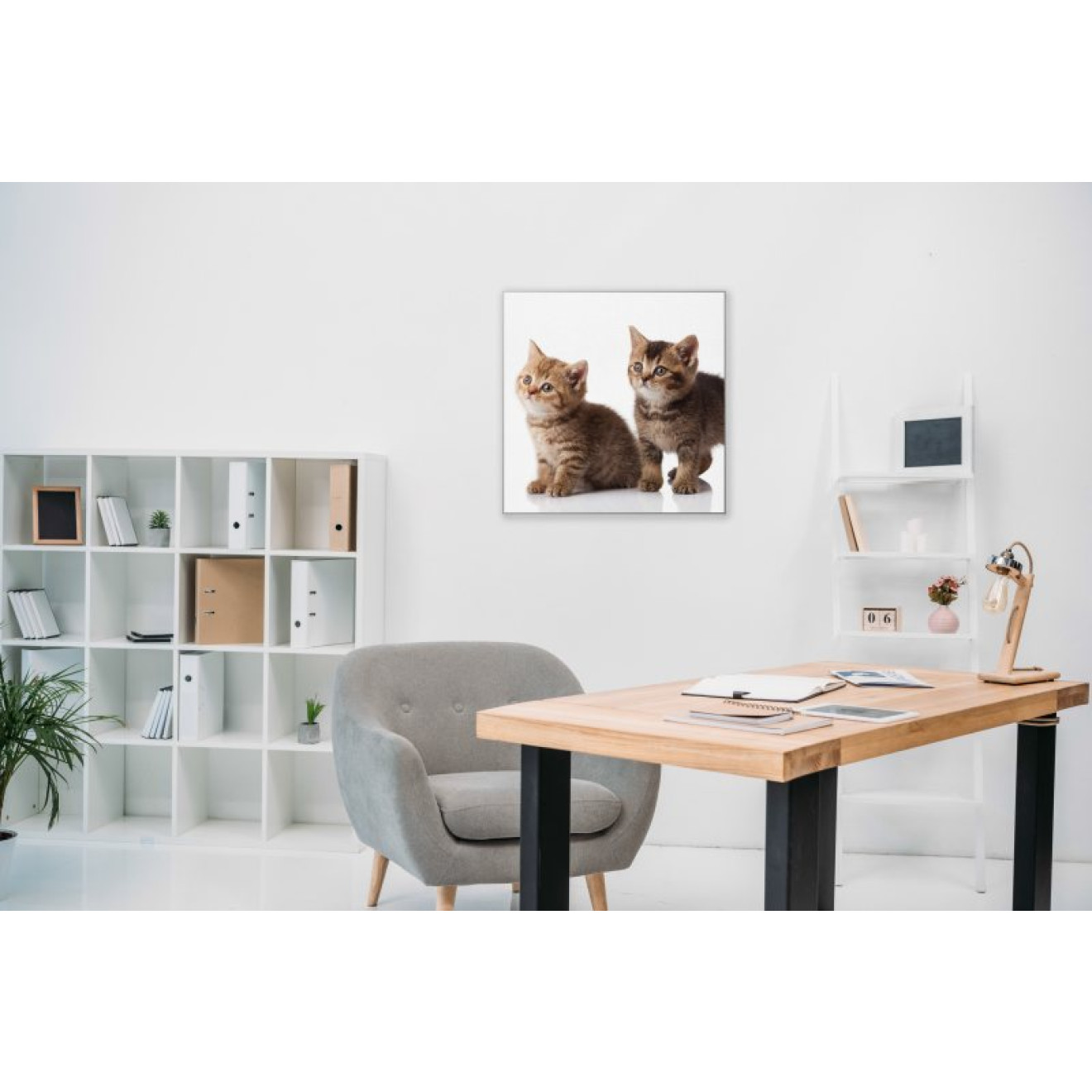 Akustikbild Babykatzen