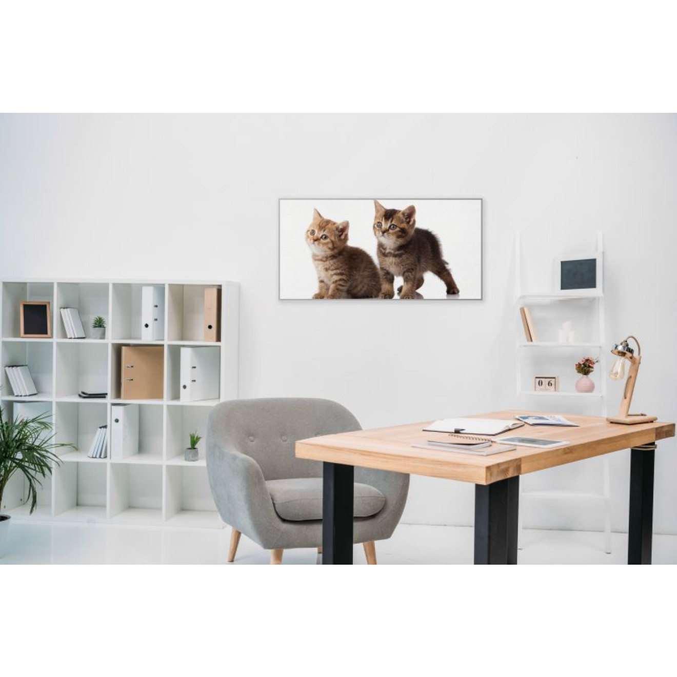 Akustikbild Babykatzen