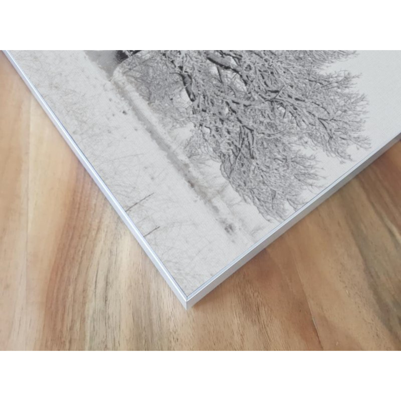 Akustikbild Schneebedeckter Baum
