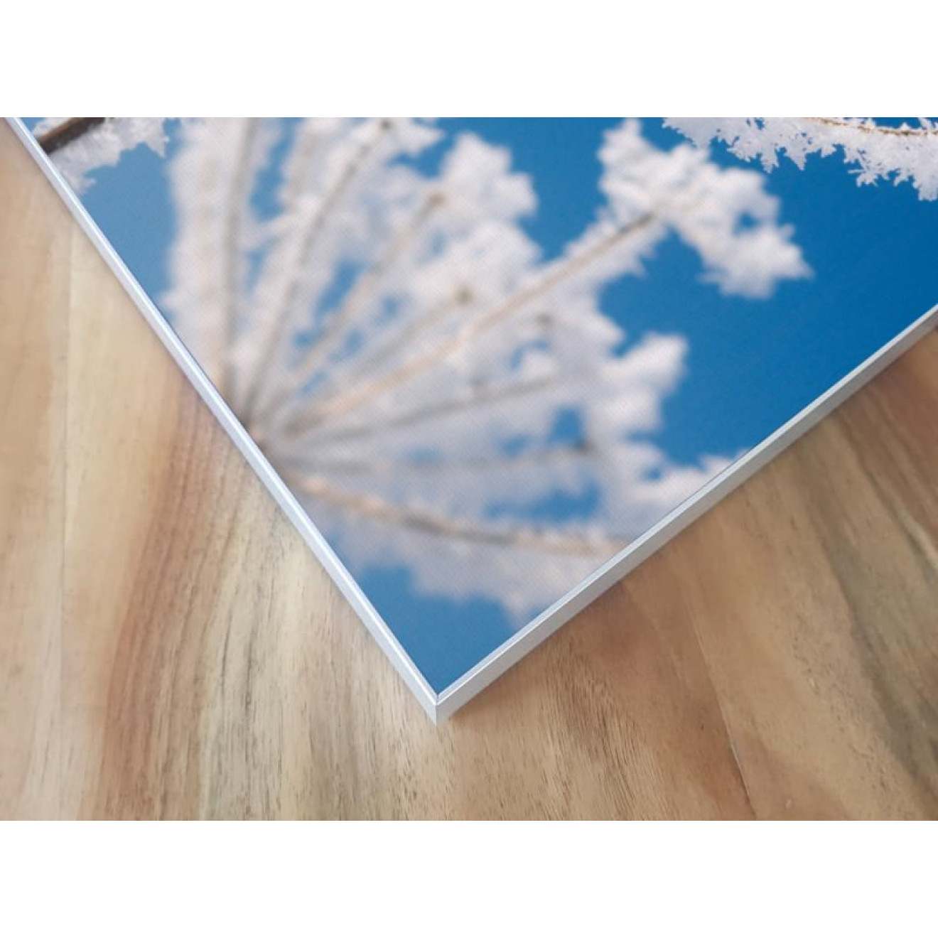 Akustikbild Vereiste Blume