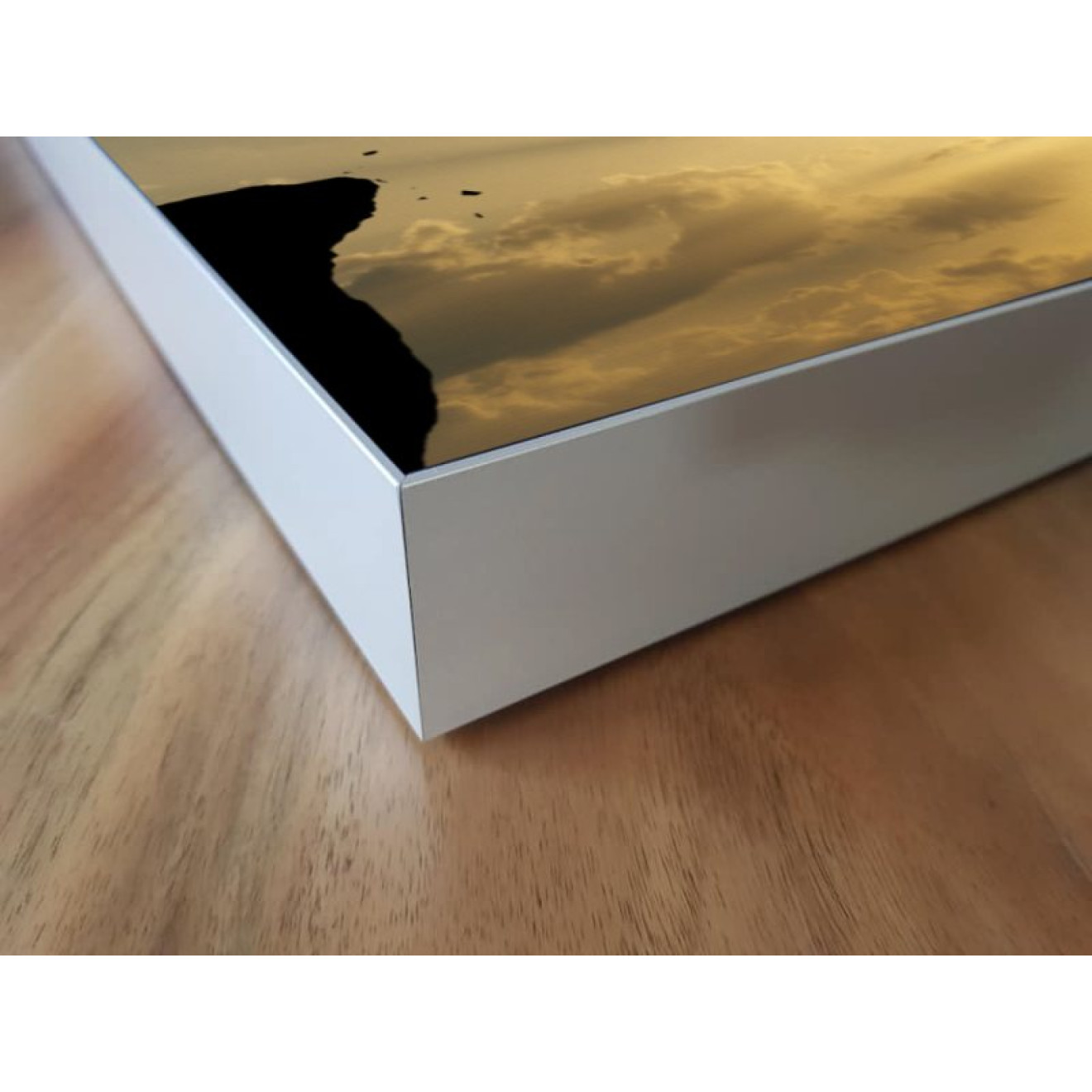 Akustikbild Klippenspringer