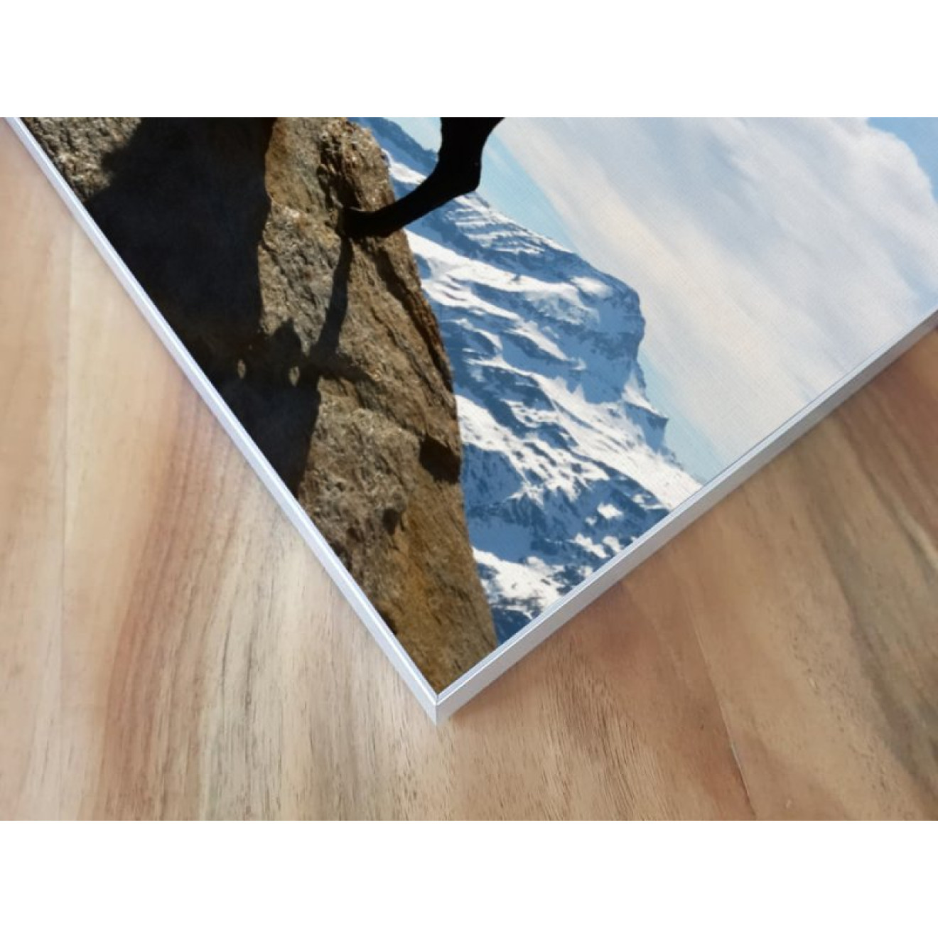 Akustikbild Steinbock
