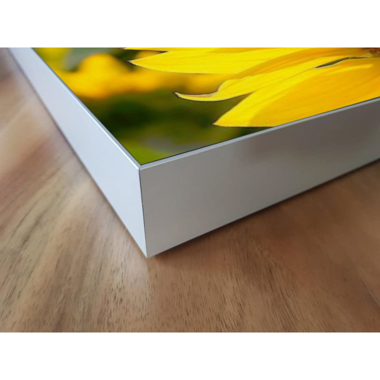 Akustikbild Sonnenblume