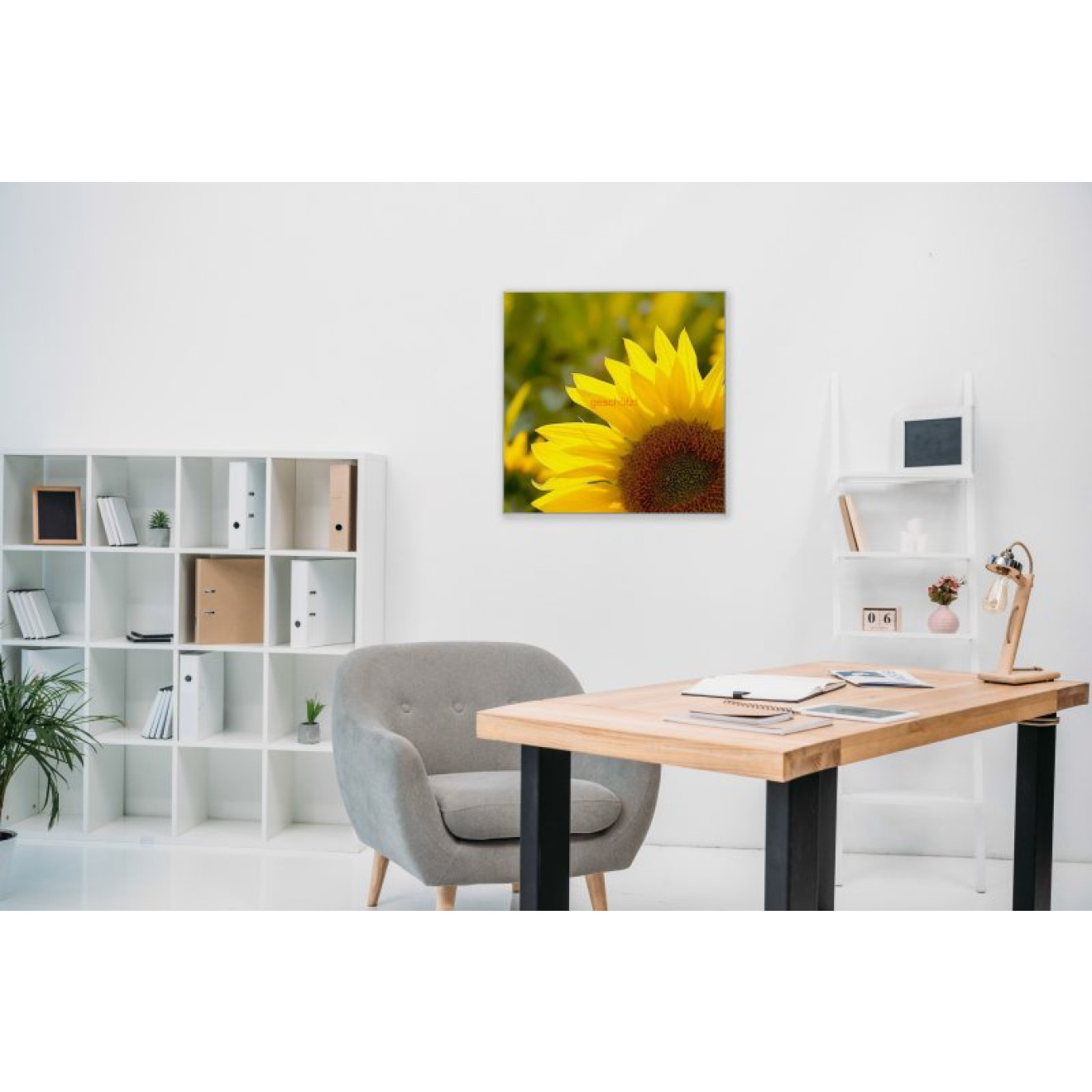 Akustikbild Sonnenblume