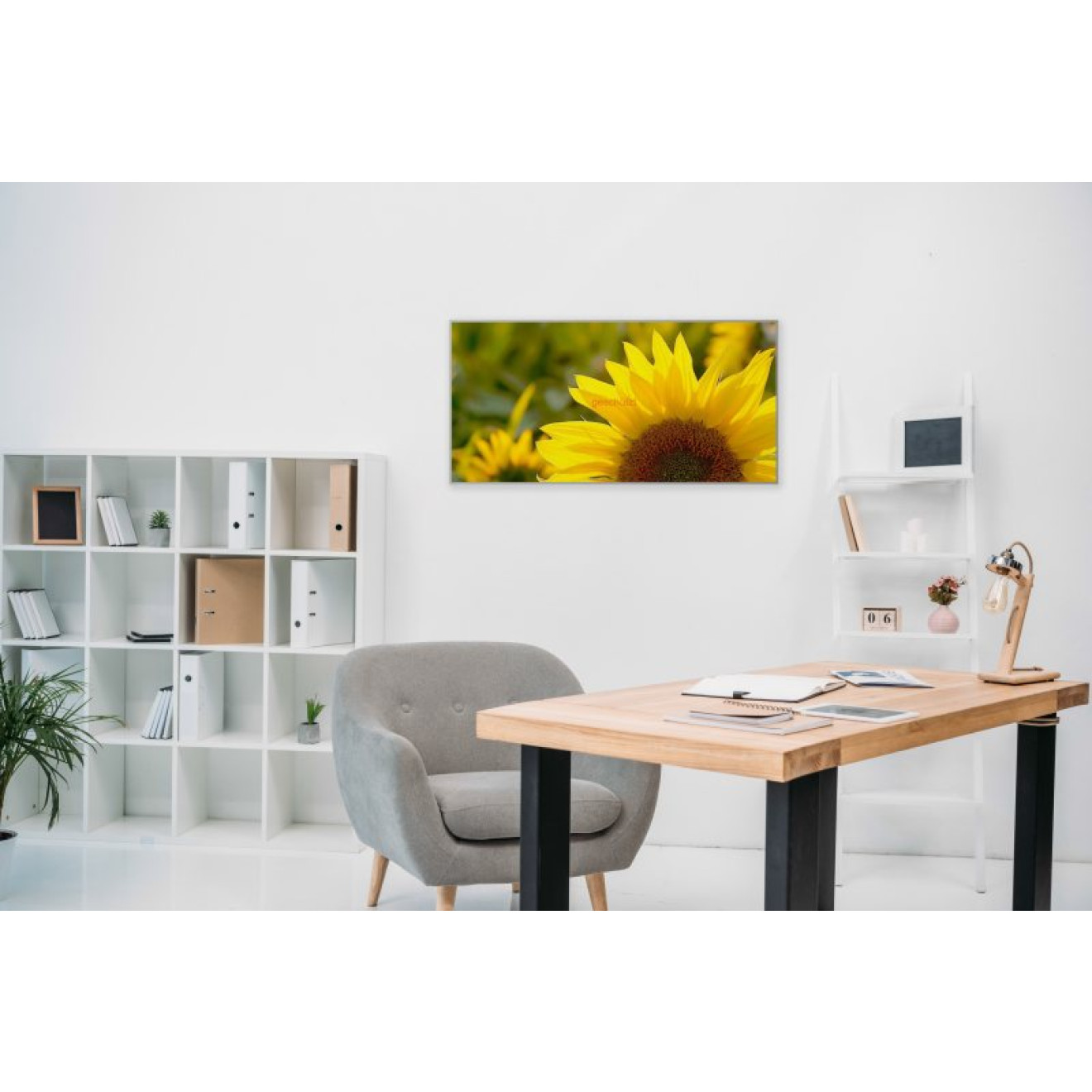 Akustikbild Sonnenblume