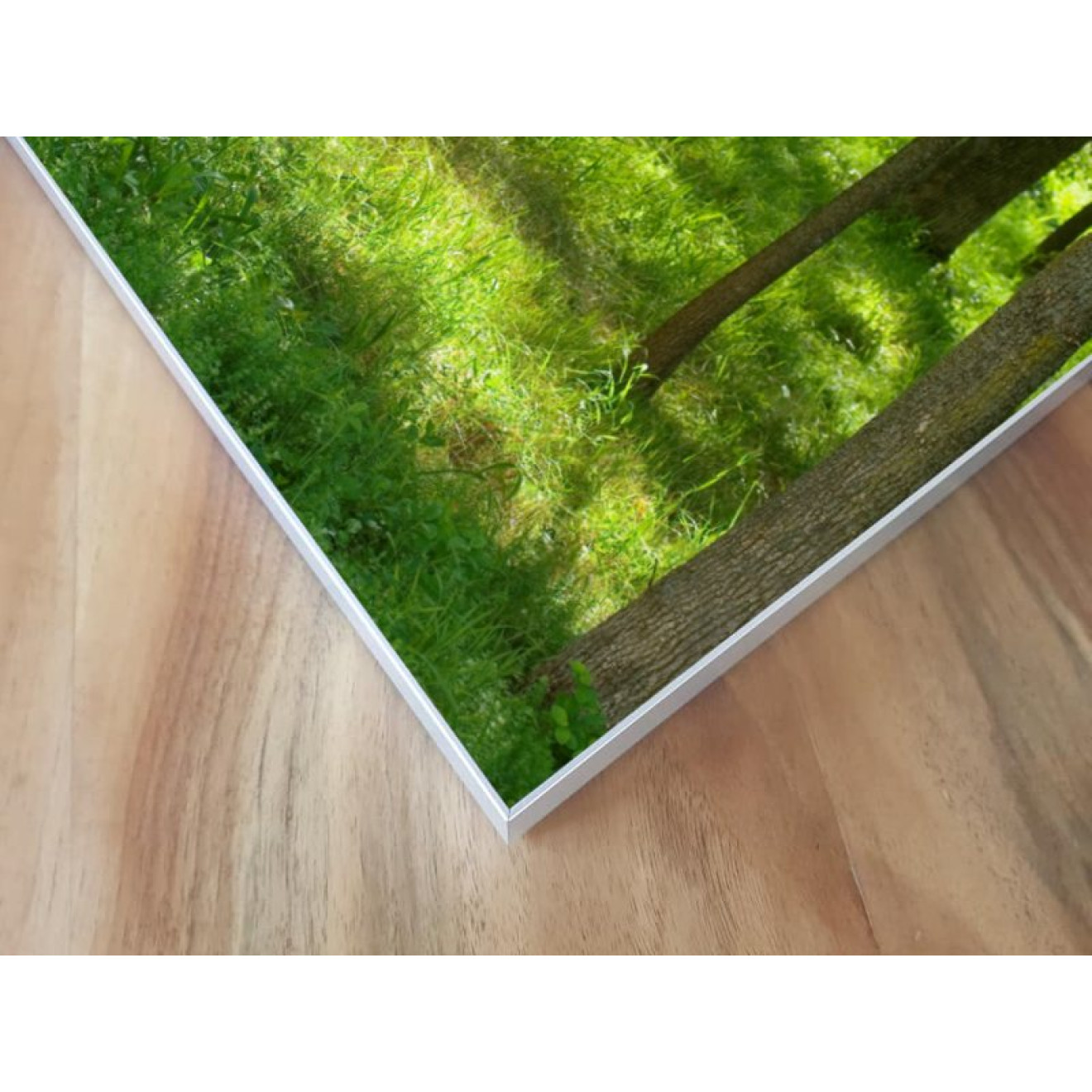Akustikbild Grüne Lichtung