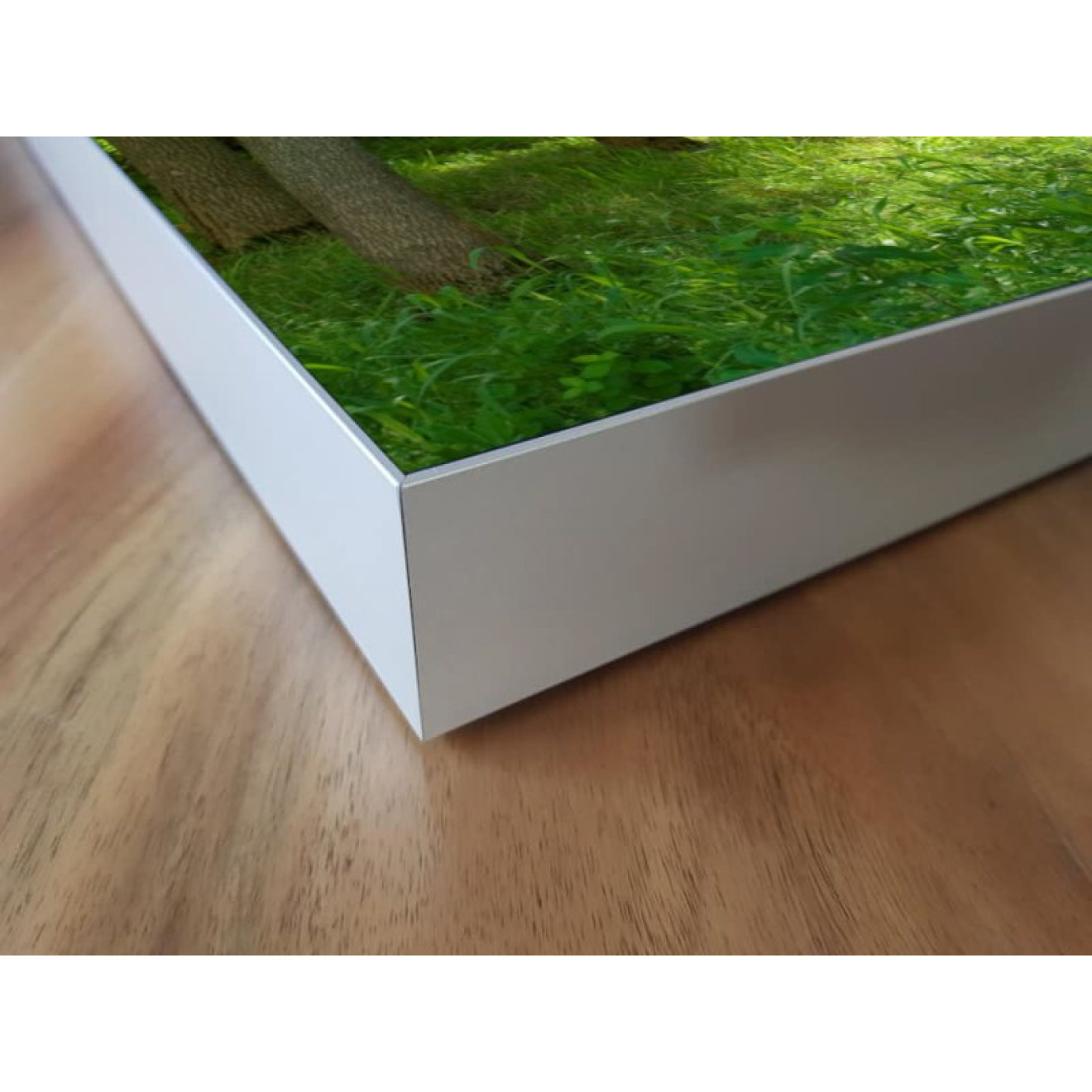 Akustikbild Grüne Lichtung