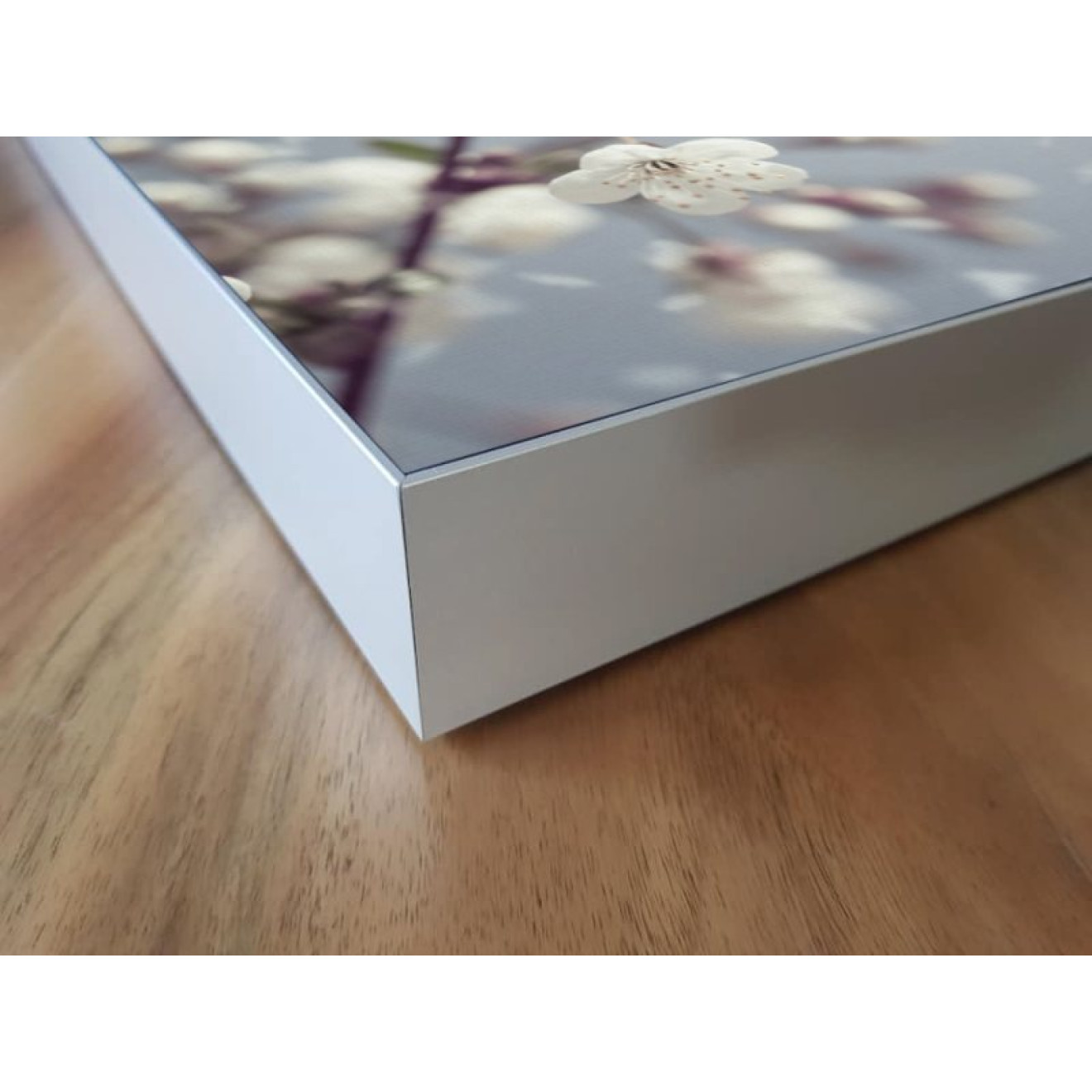 Akustikbild Frühling