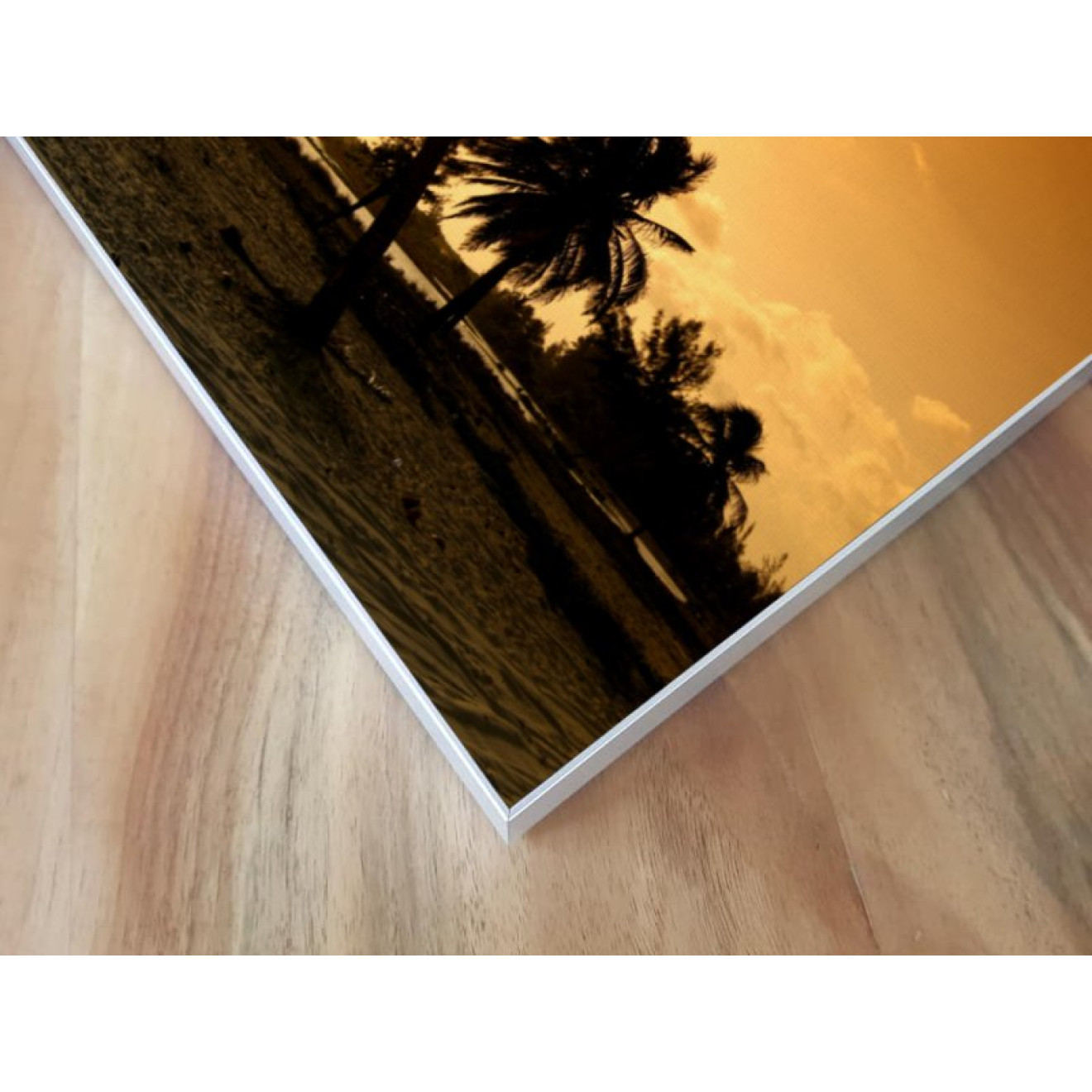 Akustikbild Palme im Sonnenuntergang