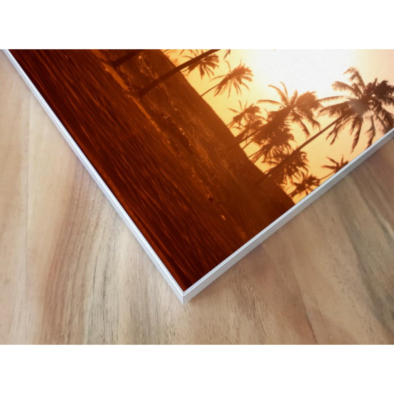 Akustikbild Palmengruppe im Sonnenuntergang