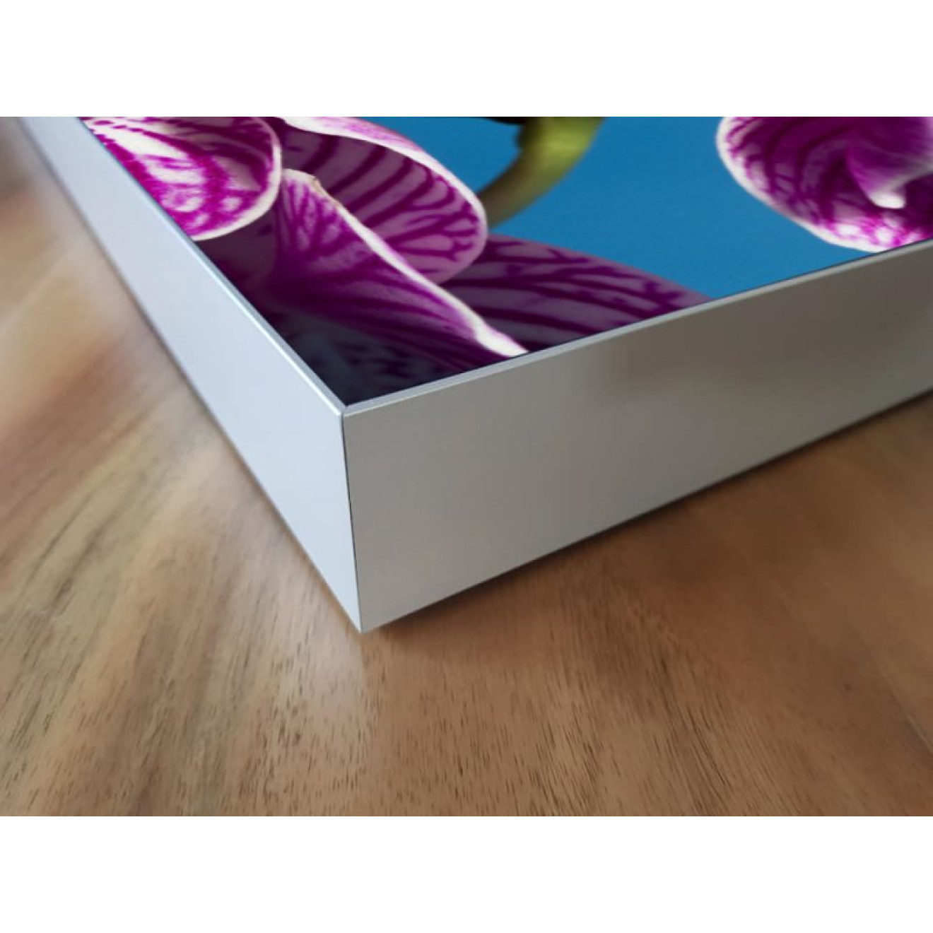 Akustikbild Lila Orchideen