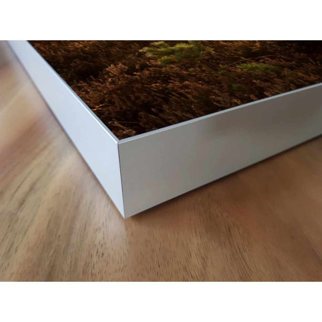 Akustikbild Großer Elch