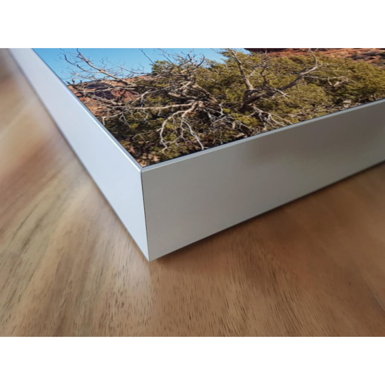 Akustikbild Arches Nationalpark Fels im Gleichgewicht