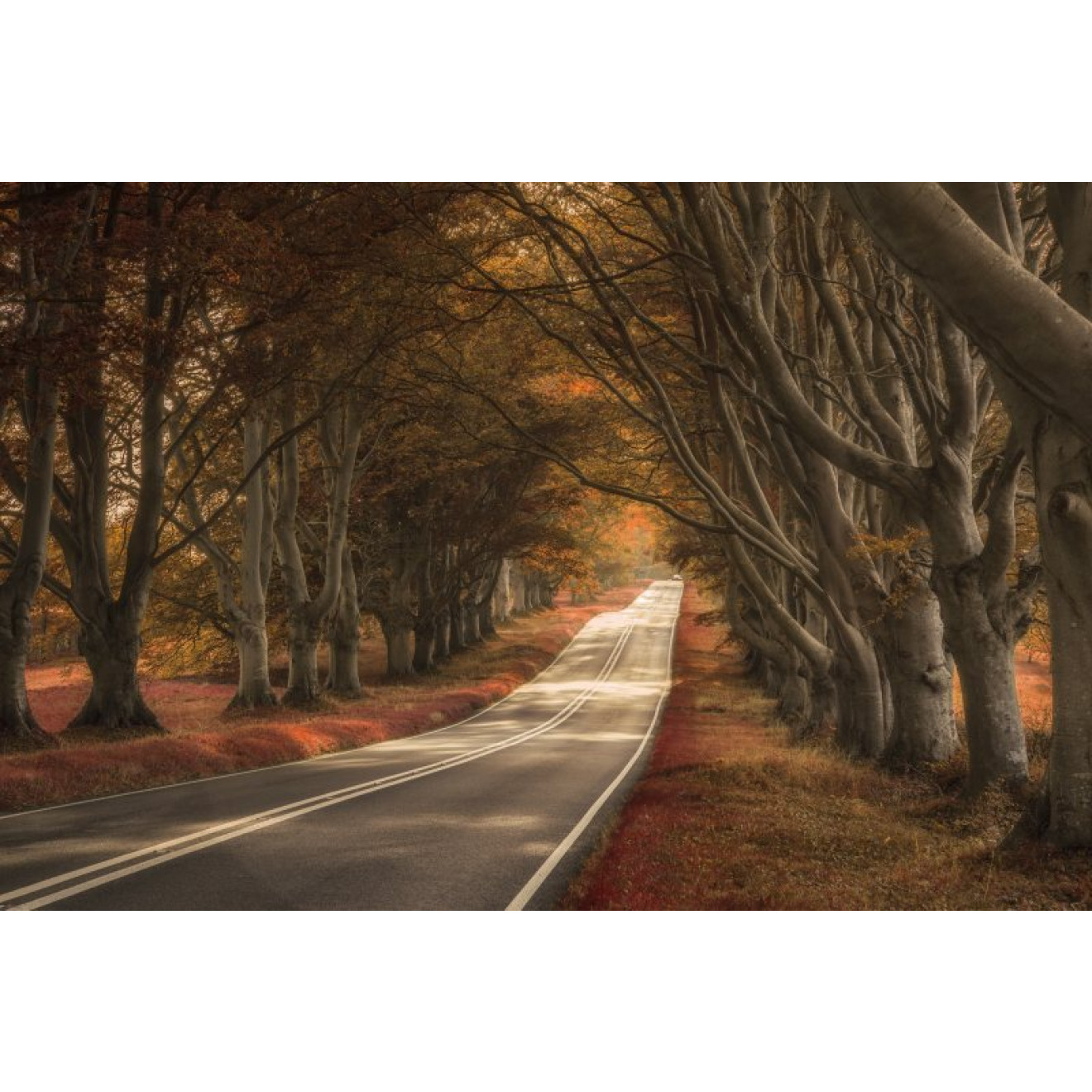 Akustikbild Allee