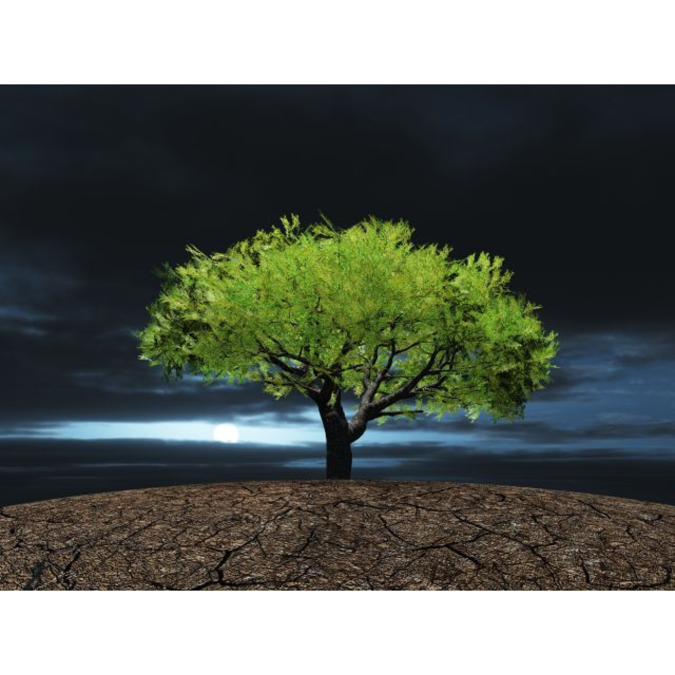 Akustikbild Baum des Lebens