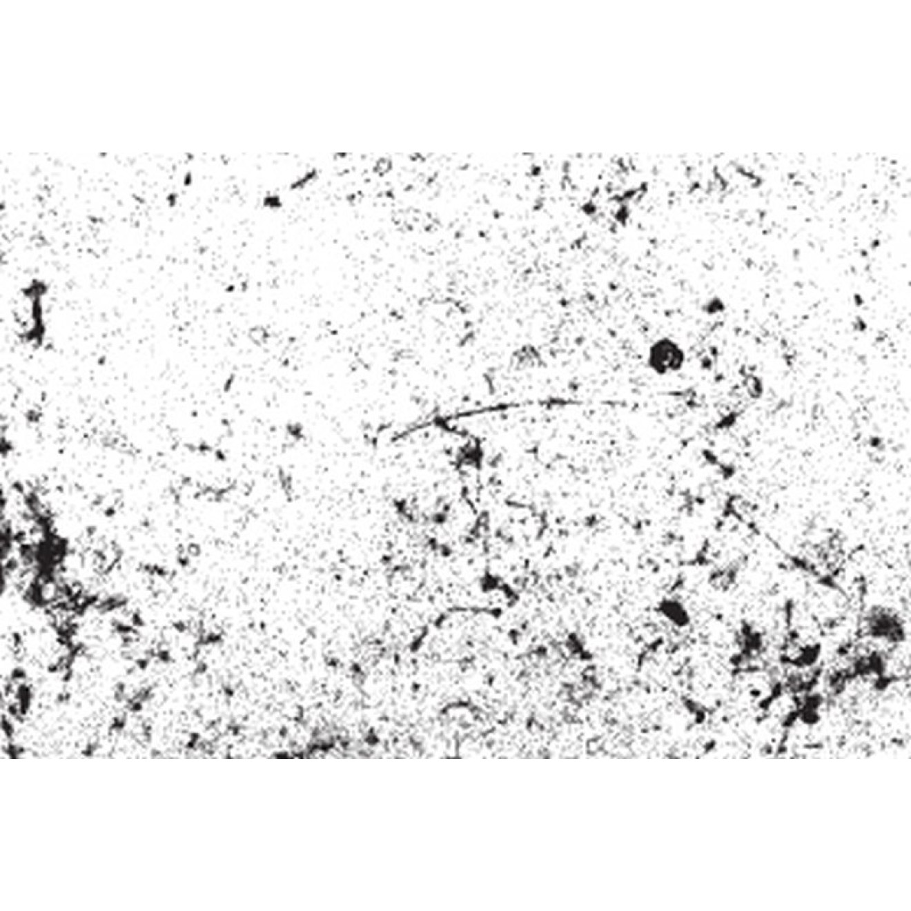 Akustikbild Schwarz-Weiss