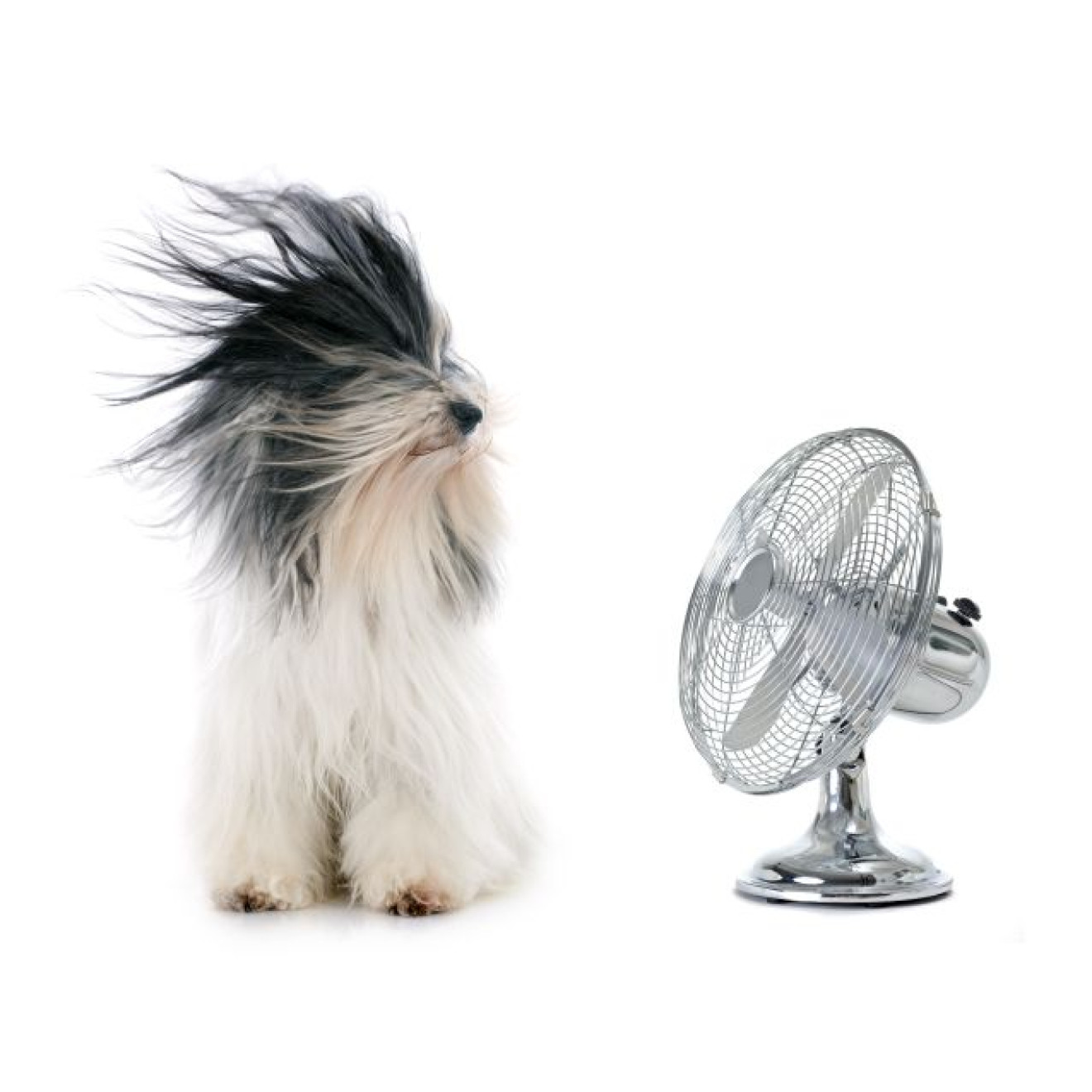 Akustikbild Durch den Wind