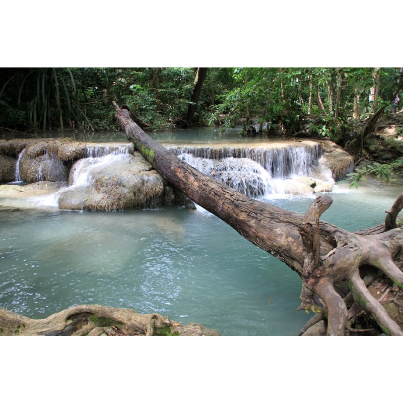 Akustikbild Waldfluss 2