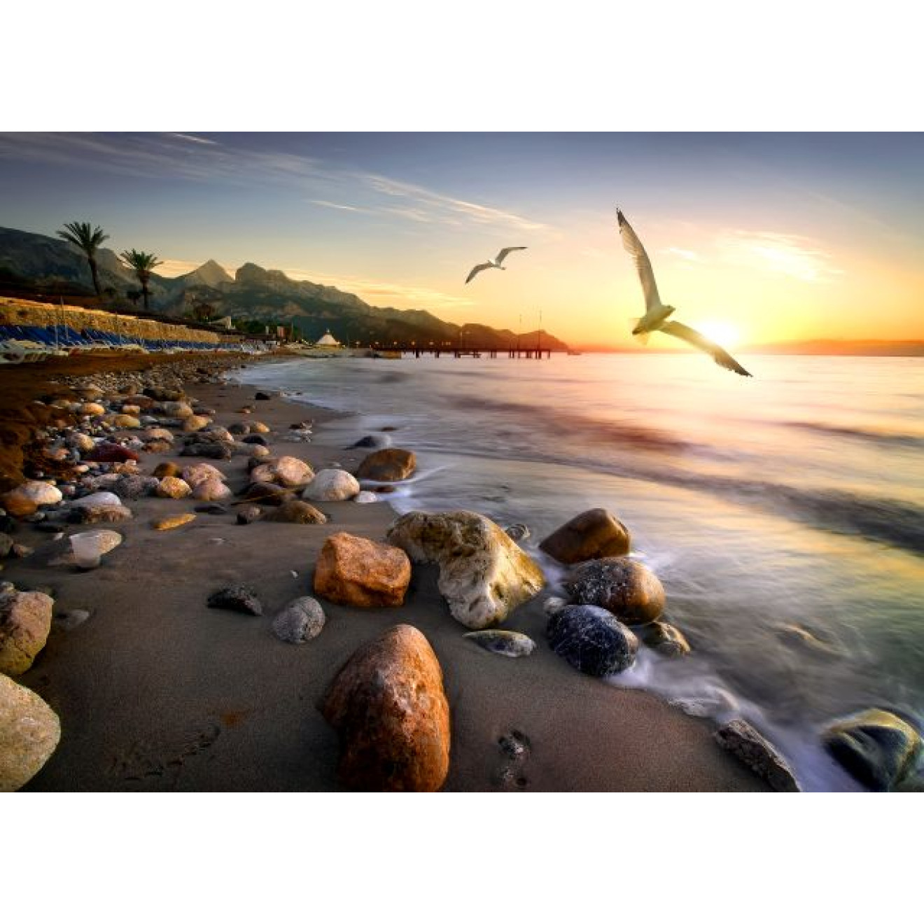 Akustikbild Möwen am Strand