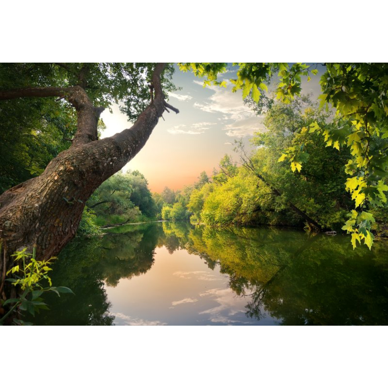 Akustikbild Waldfluss 3