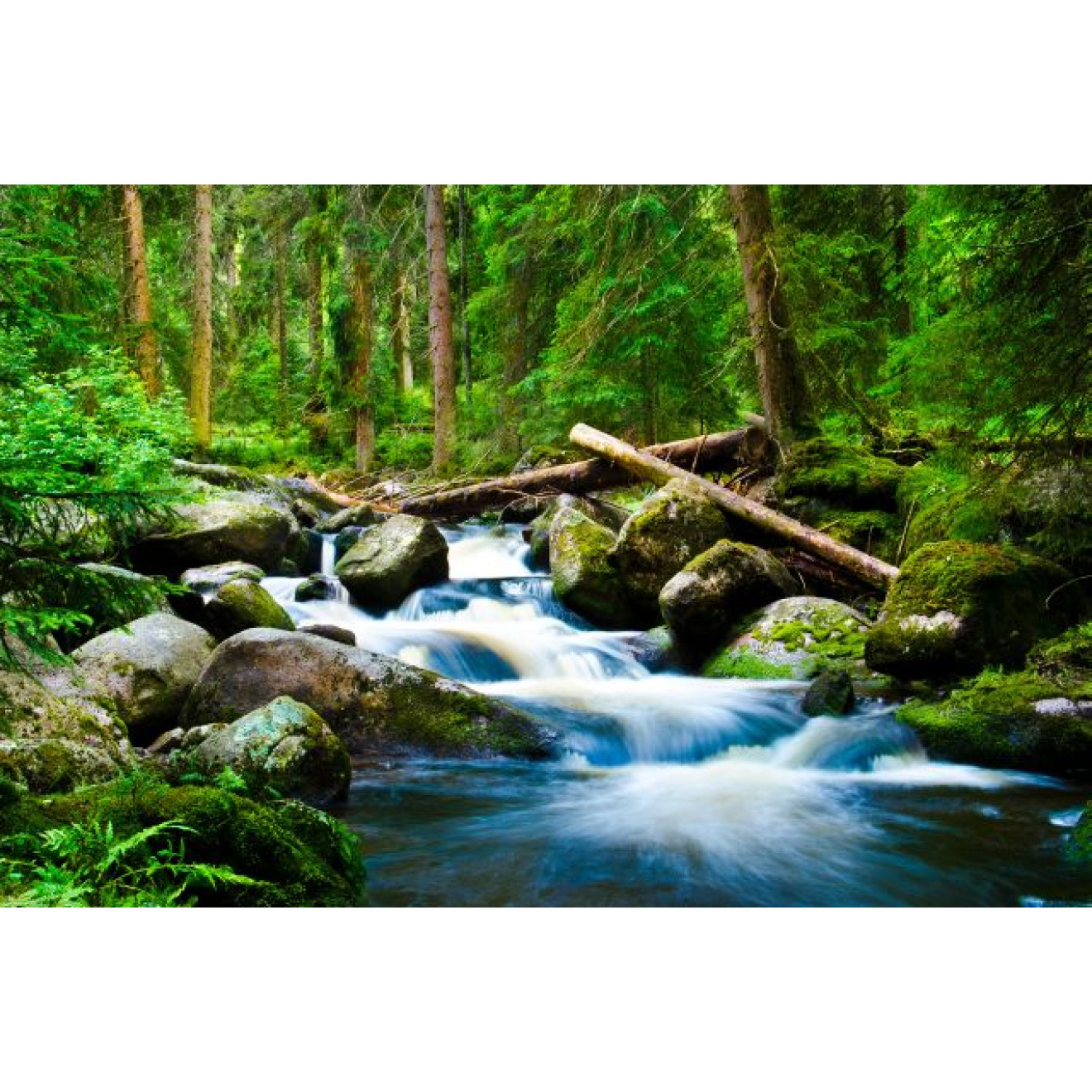Akustikbild Waldfluss