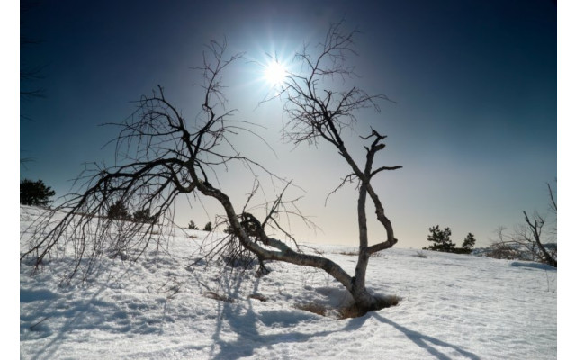 Akustikbild Eiszeit