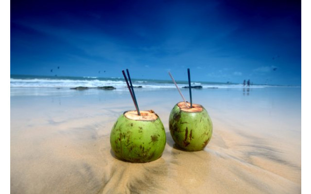 Akustikbild Coconut Drinks