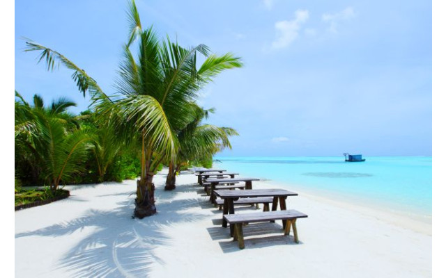 Akustikbild Bänke unter Palmen am Strand
