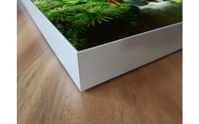 Akustikbild Papageien Trio