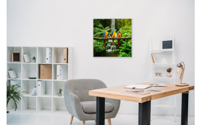 Akustikbild Papageien Trio