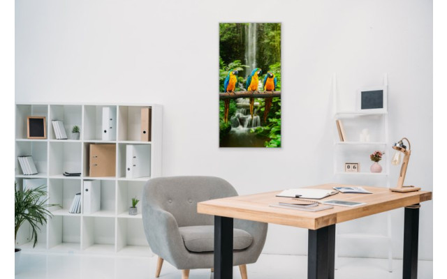Akustikbild Papageien Trio