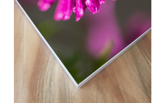 Akustikbild Lila Blume