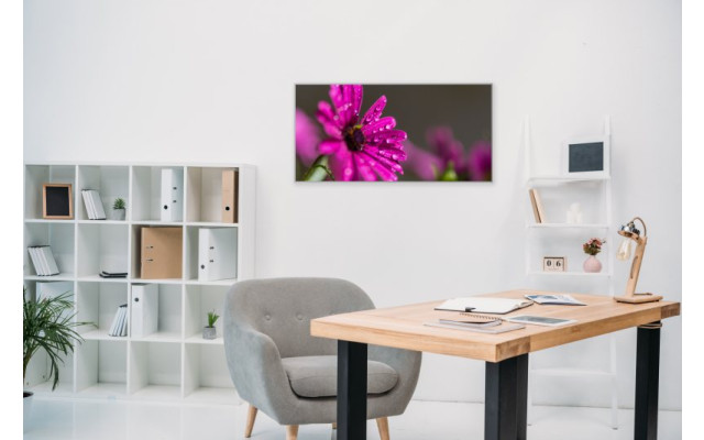 Akustikbild Lila Blume