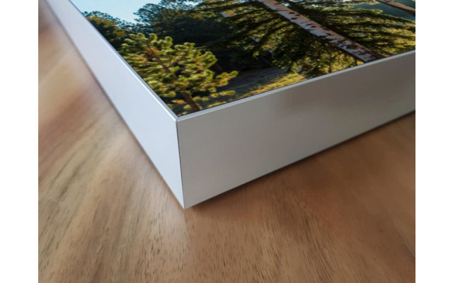 Akustikbild Bäume im Herbst