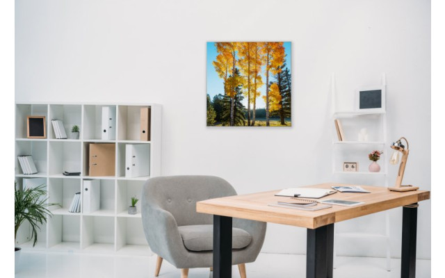 Akustikbild Bäume im Herbst