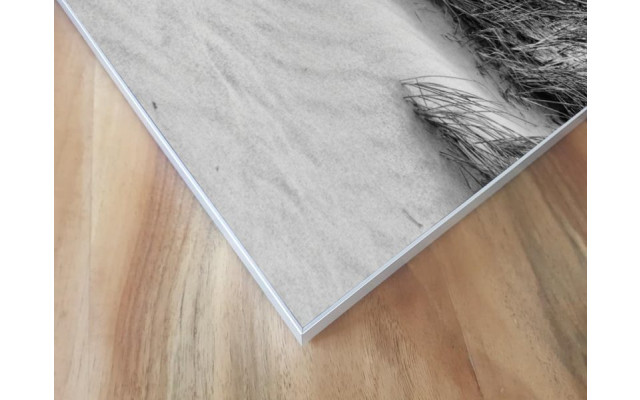 Akustikbild Dünengras