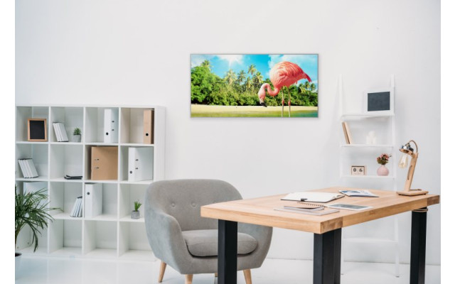Akustikbild Flamingo