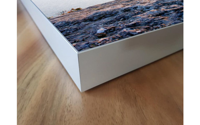 Akustikbild Baum am Meer