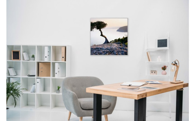 Akustikbild Baum am Meer