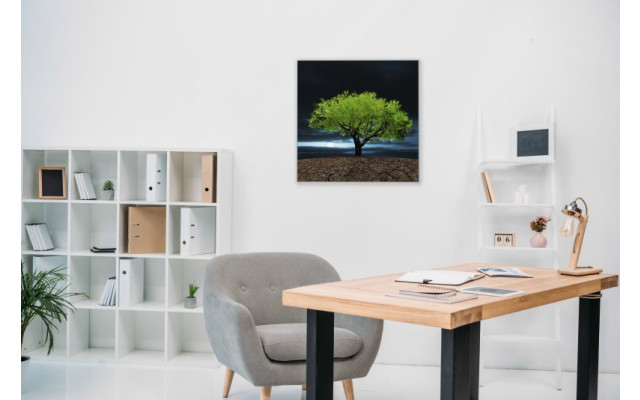 Akustikbild Baum des Lebens