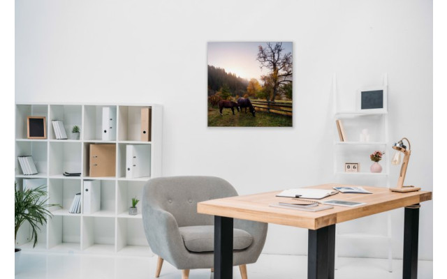 Akustikbild Glückliche Pferde