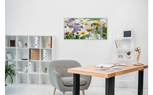 Akustikbild Gänseblümchen