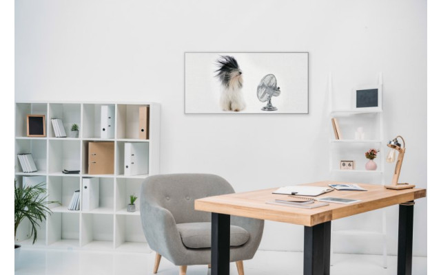 Akustikbild Zebra